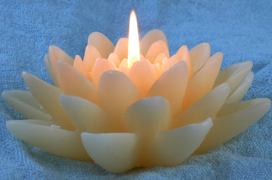 Sonderangebot 2024: XXL-Lily-Schwimmkerze WEISS, - 15x6 cm - Hergestellt von Candles by Milanne - VIDEO ANSEHEN