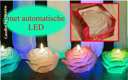 Rosenkerze mit LED Ø 12 cm, H: 7 cm